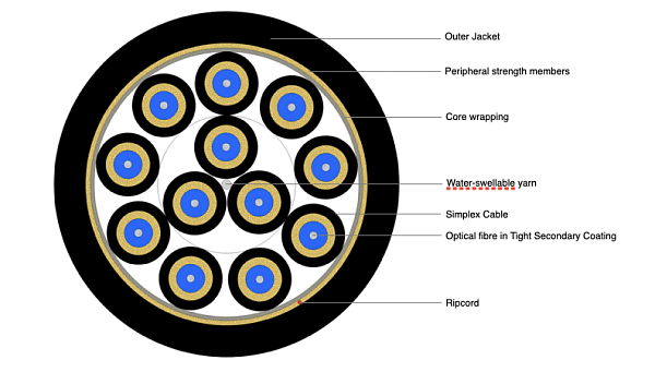 Flexible Breakout Cable 12F